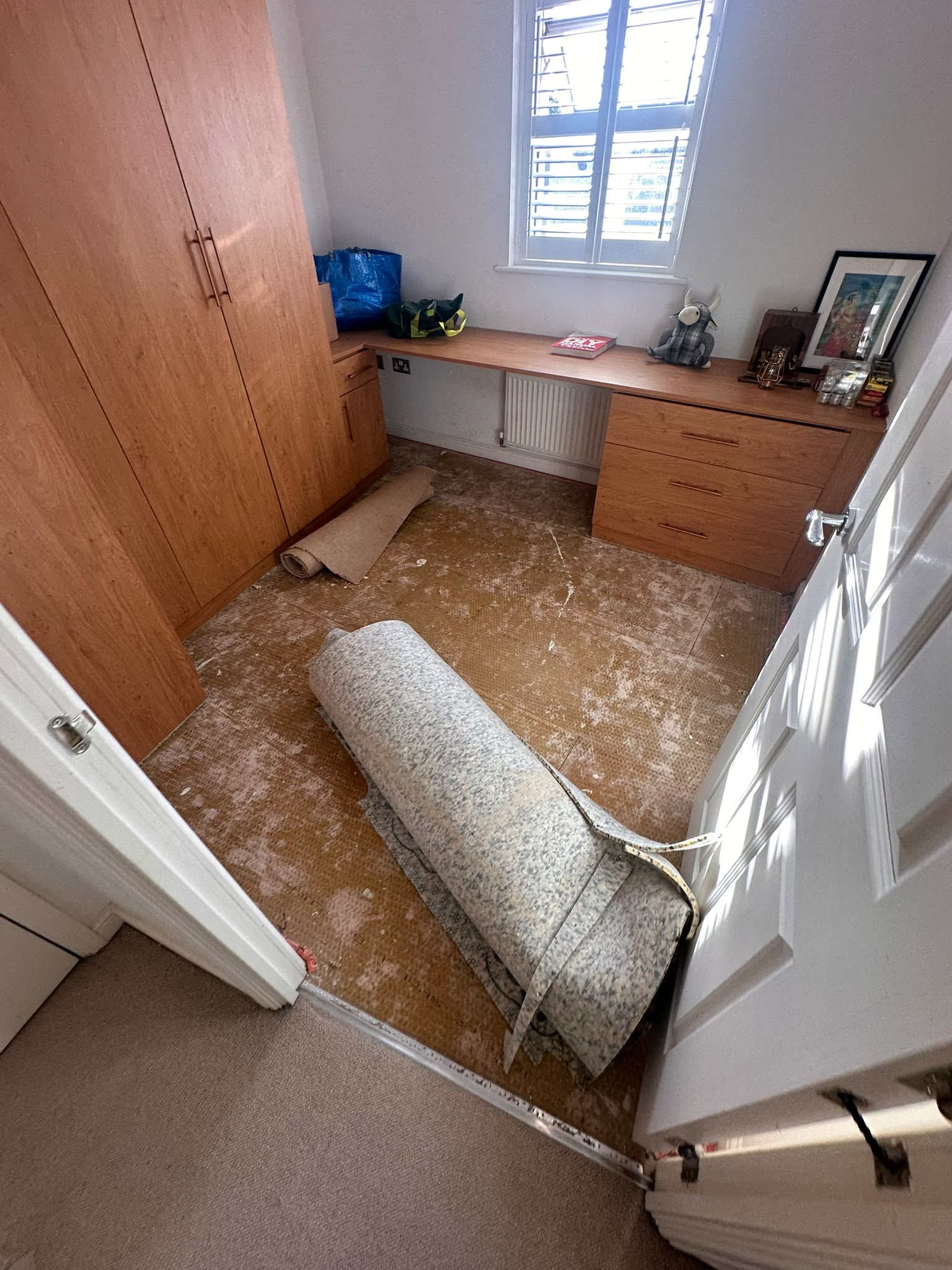 Uplifting Old Carpet & Underlay