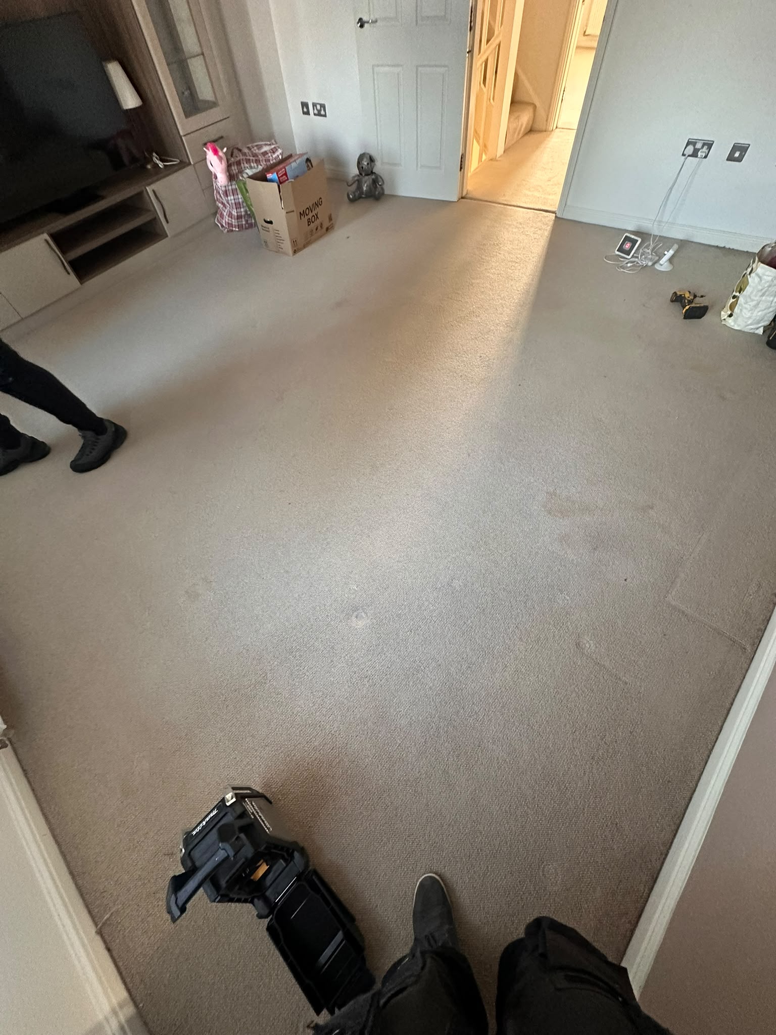 Newly fitted Abingdon Stainfree Captivation carpet in the lounge alongside fitted storage — Bromley BR1