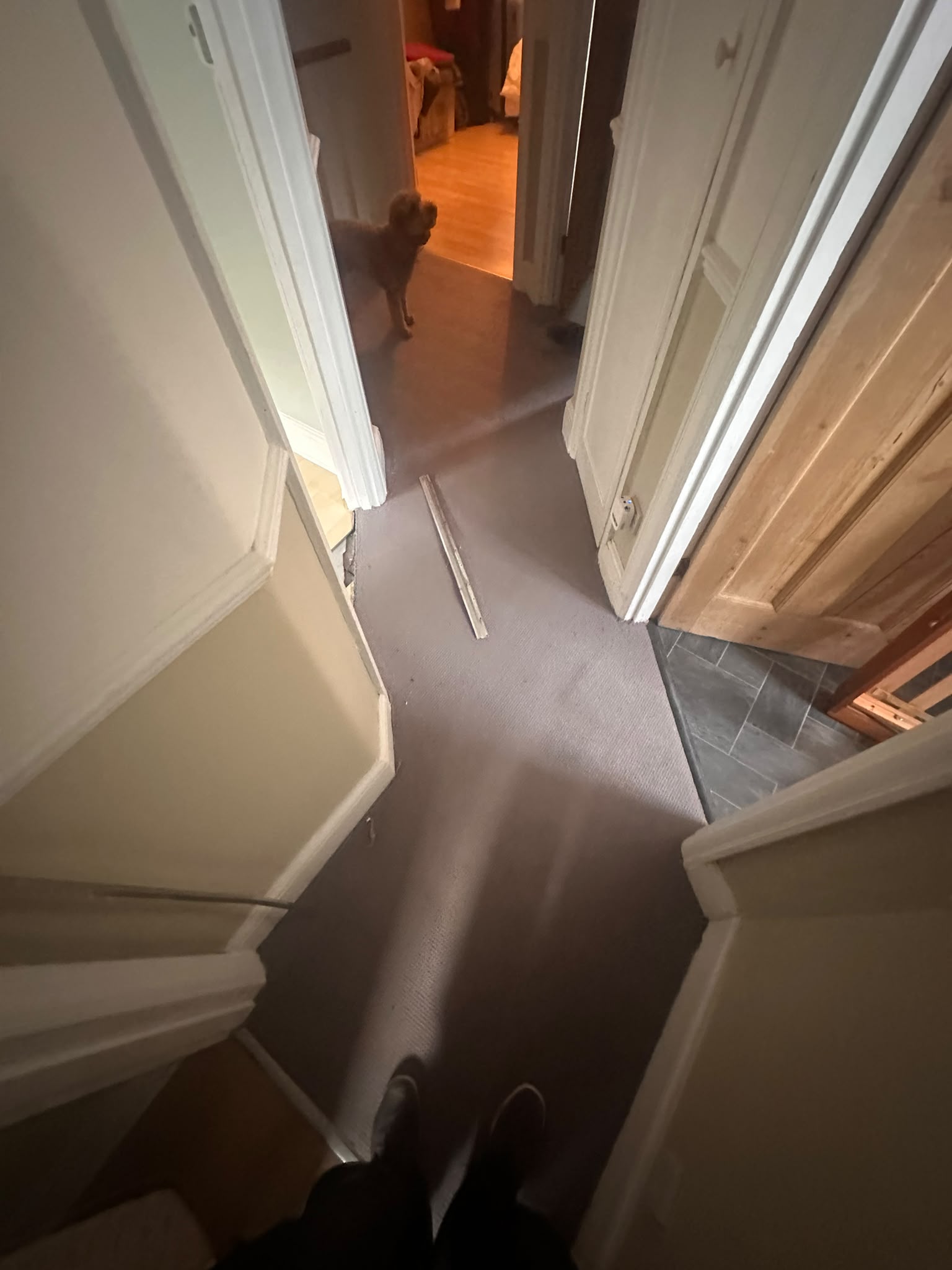 Before: Old Landing Carpet